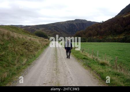 Lone Man Walking on Track à Glen Almond, Perthshire, Écosse, Royaume-Uni. Banque D'Images