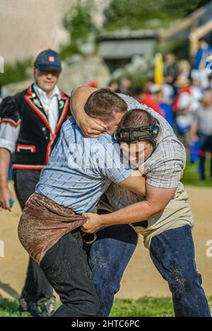 Gros plan d'un combat intense de lutteurs suisses au nos 2012 à Silvaplana, Suisse Banque D'Images
