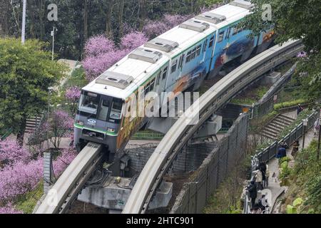 Chongqing, Chongqing, Chine. 28th févr. 2022. Le 25 février 2022, une grande zone de fleurs de‚''¹Ã prune â‚''¹beautiful dans la section du col Fotu de la ligne 2 du train de Chongqing est en pleine floraison, formant une mer de fleurs de‚''¹Ã â‚''¹pink â'''. Le train léger traverse la mer des fleurs roses, devenant un autre genre de paysage dans la ville, comme si vous étiez dans une scène de film.à Chongqing Fotuguan Park, de nombreux touristes apprécient le paysage et jouent ici. Ils sont très surpris lorsqu'ils rencontrent des « problèmes » ici. Ils sont occupés à prendre des photos et à capturer les scènes des trains de Rai Banque D'Images