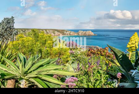 Garden of Minack Theatre à Porthcurno, Cornwall, Angleterre, Royaume-Uni Banque D'Images