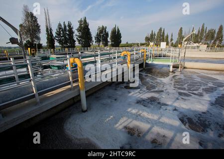 Bassins de sédimentation secondaires les boues sont éliminées pour le traitement des boues. Installation de traitement des eaux usées. L'eau traitée est ensuite utilisée pour l'irrigation Banque D'Images