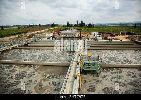 Bassins de sédimentation secondaires les boues sont éliminées pour le traitement des boues. Installation de traitement des eaux usées. L'eau traitée est ensuite utilisée pour l'irrigation Banque D'Images