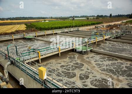 Bassins de sédimentation secondaires les boues sont éliminées pour le traitement des boues. Installation de traitement des eaux usées. L'eau traitée est ensuite utilisée pour l'irrigation Banque D'Images