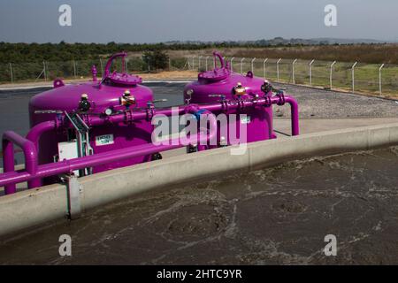 Bassins de sédimentation secondaires les boues sont éliminées pour le traitement des boues. Installation de traitement des eaux usées. L'eau traitée est ensuite utilisée pour l'irrigation Banque D'Images