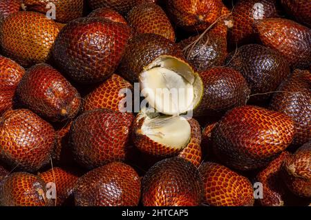 Les fruits de Salak mûrs (Salaca edulis ou Salaca zalacca) connus sous le nom de fruit de serpent ou de fruit de peau de serpent Banque D'Images