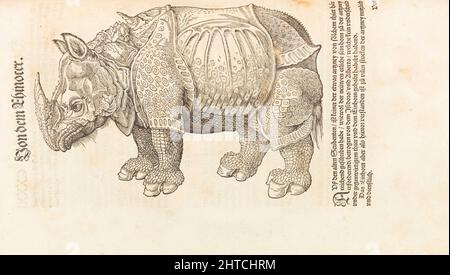 Rhinocéros. De Historia animalium, 1551-1558. Collection privée. Banque D'Images