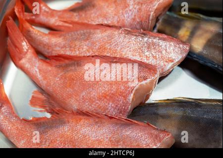 Poissons verts frais crus et poissons de bar de mer dans le supermarché Banque D'Images