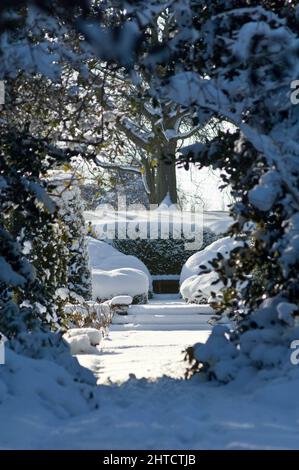 Vue générale du parc du palais d'Eltham dans la neige, regardant le long du chemin à travers la couverture à l'extrémité sud de la roseraie submergée, vers les buissons enneigés. Une version de cette image numérique éditée pour publication existe également, comme PLB N090026.tif. Banque D'Images