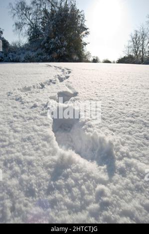 Eltham Palace, court Yard, Eltham, Greenwich, Londres, 2009. Vue générale sur le parc du palais d'Eltham dans la neige, montrant une rangée de empreintes de pas menant à travers une pelouse enneigée. Banque D'Images