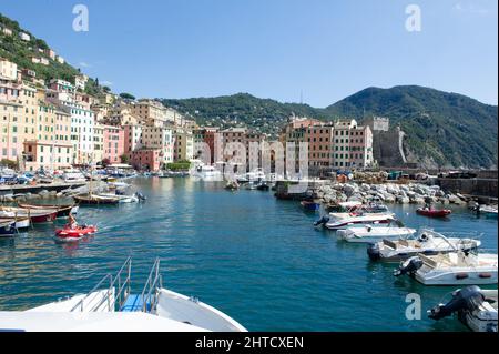 Europe, Italie, ville de Camogli sur la mer Méditerranée en Ligurie.Port avec bateaux de pêche Banque D'Images