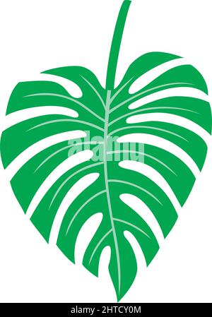 Feuille de Monstera - illustration du vecteur végétal tropical Illustration de Vecteur