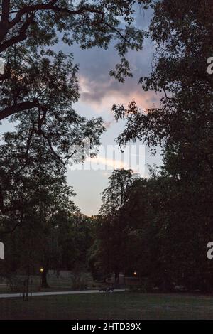 Photo verticale des beaux arbres du parc au coucher du soleil à Bad Homburg, Allemagne Banque D'Images