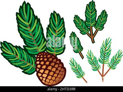 Illustration du vecteur branche de pin et de cône de pin Illustration de Vecteur