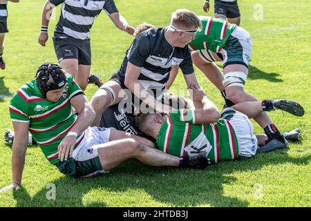 Newcastle Falcons contre Leicestershire Tigers de moins de 18 ans à Oval Park Training Ground Leicester. Banque D'Images