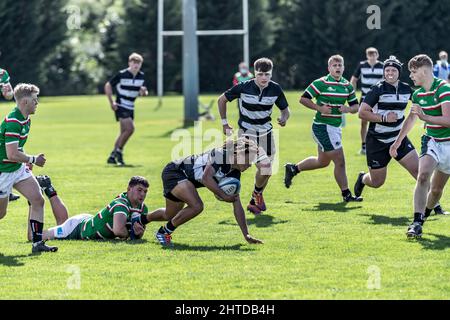 Newcastle Falcons contre Leicestershire Tigers de moins de 18 ans à Oval Park Training Ground Leicester. Banque D'Images