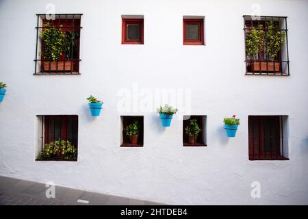 pots suspendus sur un mur de lavage blanc à mijas espagne Banque D'Images