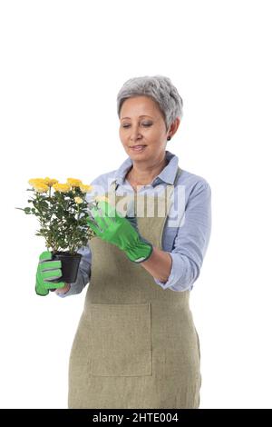 Portrait d'une femme asiatique souriante jardinier professionnel ou fleuriste en tablier tenant une fleur rose dans un pot isolé sur fond blanc Banque D'Images