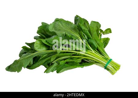 Photo de gros plan d'un bouquet de cresson d'eau ou de cresson de jardin isolé sur fond blanc. Régime végétarien ou concept de nutrition verte.