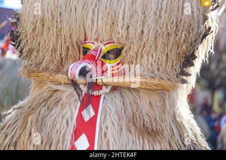 Visage coloré du Kurent, masque traditionnel slovène, époque du carnaval. Masque traditionnel utilisé dans le fébruar pour la persécution d'hiver, le temps du carnaval, la Slovénie. Banque D'Images