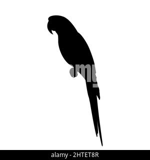 Silhouette d'un perroquet de la macaw. Illustration vectorielle d'une silhouette noire d'un perroquet de macaw assis sur une branche isolée sur un fond blanc. Côté vie Illustration de Vecteur