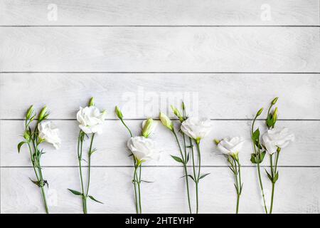 Fond en bois blanc et fleurs blanches d'eustoma ou de lisianthus se trouvent dans une rangée au fond, vue de dessus plat. Arrière-plan pour les inscriptions sur Mothe Banque D'Images