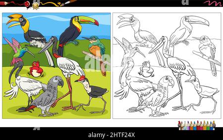 Illustration de dessin animé de la page de livre de coloriage de groupe de caractères d'animaux d'oiseaux Illustration de Vecteur