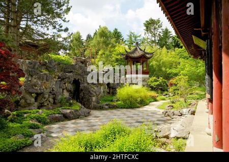 Jardin chinois dans l'hortus botanicus de Groningen au début de l'été Banque D'Images