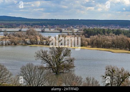 25 février 2022, Brandebourg, Stützkow: Vue d'un point de vue au-dessus du petit village de Stützkow dans le district d'Uckermark des prairies de polder inondées par les hautes eaux de la rivière Oder. Le parc national de Lower Oder Valley a été créé en 1995 après cinq années de préparation et couvre une superficie de 10 500 hectares. La vallée de l'Oder est l'un des derniers paysages de plaine inondable de rivière presque naturelle dans l'ouest de l'Europe centrale avec un grand nombre d'espèces animales et végétales menacées. Photo: Patrick Pleul/dpa-Zentralbild/ZB Banque D'Images