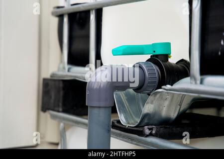 Système d'irrigation pour l'arrosage d'un jardin mural vert vertical pour l'adaptation au climat Banque D'Images