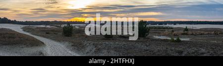 Coucher de soleil dans le parc national néerlandais Loonse en Drunense Duinen situé dans la province Nord Brabant, qui est connu pour de beaux paysages avec des dunes de sable Banque D'Images