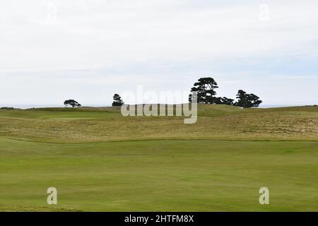 Paysage d'un parcours de golf avec des pins de mer en arrière-plan à Bandon Dunes, Oregon Banque D'Images