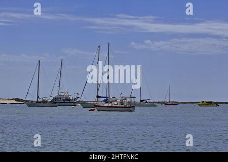 Des voiliers ancrés parmi les îles-barrières des canaux intertidaux de Ria Formosa. Faro-Portugal-129 Banque D'Images