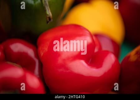 Fruits et légumes naturels sans conservateurs, sur sol naturel sans engrais artificiels ni OGM Banque D'Images