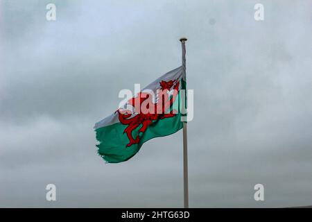 Image sombre du drapeau gallois sur un poteau lors d'une journée nuageux à New Quay, pays de Galles Banque D'Images