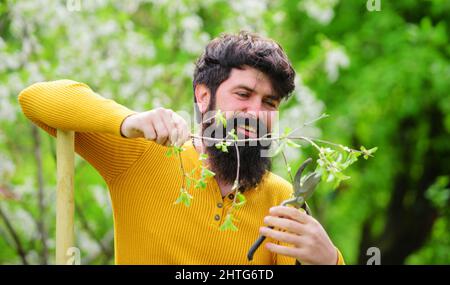 Ressort. Jardinier heureux avec des ciseaux de jardinage. Plantes de coupe. Élagage de l'arbre. Banque D'Images