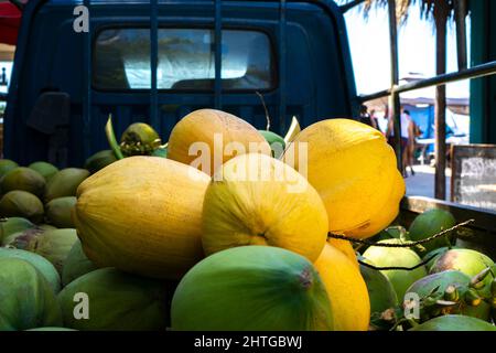 Pile de noix de coco fraîches transportées sur un camion de pick-up pour la vente. Fruits tropicaux verts et jaunes Banque D'Images