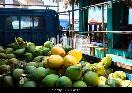 Pile de noix de coco fraîches transportées sur un camion de pick-up pour la vente. Fruits tropicaux verts et jaunes Banque D'Images