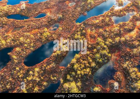 Marais dans le paysage d'automne. Mires sauvages . Réserve écologique dans la faune. Marais à la nature sauvage. Terres marécageuses et marécages, tourbière. Banque D'Images