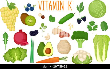 Ensemble de sources de vitamine K. Une alimentation saine. Collection de légumes, de fruits, de légumes verts et de noix enrichissement en vitamine C. illustration vectorielle Illustration de Vecteur