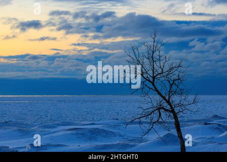 Lone Tree contre un ciel bleu profond de crépuscule en hiver avec un lac gelé comme arrière-plan Banque D'Images