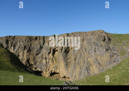 Carrière face près de Dirtlow Rake, près de Castleton, Derbyshire. Une immense face de roche rouge est clôturée d'en haut et montre les entrées de la grotte ci-dessous. Banque D'Images