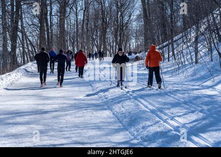 Montréal, CA - 26 février 2022 : personnes marchant ou skiant sur un sentier enneigé dans le parc du Mont-Royal de Montréal (Parc du Mont-Royal) après une tempête de neige. Banque D'Images