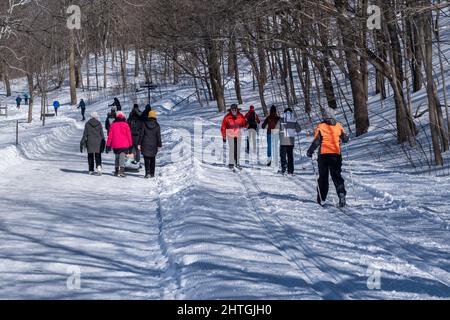 Montréal, CA - 26 février 2022 : personnes marchant ou skiant sur un sentier enneigé dans le parc du Mont-Royal de Montréal (Parc du Mont-Royal) après une tempête de neige. Banque D'Images