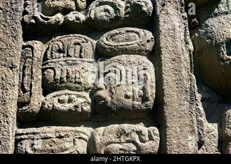 Sculpture autonome de Stela aux ruines mayas de Copan, ruines de Copan, Honduras Banque D'Images