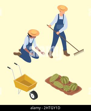 quatre icônes de jeu d'agriculture isométrique Illustration de Vecteur