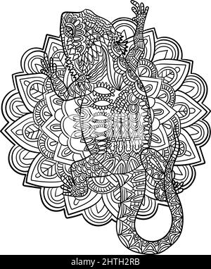 Pages de coloriage de Mandala Dragon barbu pour adultes Illustration de Vecteur