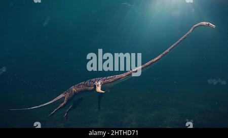 Tanystropheus, reptile éteint des époques trias moyen à tardif Banque D'Images