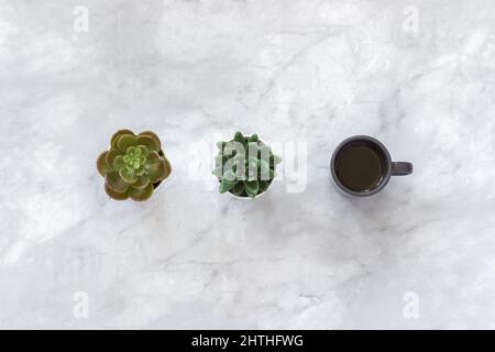 Deux pots de fleurs succulentes et une tasse de café noir se trouvent en rangée sur fond de table en marbre. Style minimal Flat lay espace de copie composition Top-down. Banque D'Images