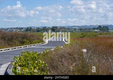 Tauranga Nouvelle-zélande- Mars 1 2022; cycliste en balade et en vélo à travers Matua Salt Marsh Tauranga Nouvelle-Zélande. Banque D'Images