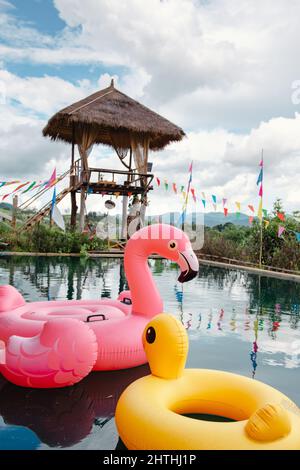 Flamingo et Duck flottant dans la piscine de l'hôtel. Flamingo et Duck Float caoutchouc Water Toys Inflatable dans les piscines. Leisur d'été Banque D'Images